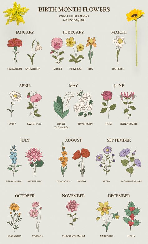 Birth Flower Line Drawing, Birthmonth Flower, Line Drawing Floral, Tatoo Flowers, Flower Line Drawing, Floral Back Tattoos, Simple Flower Drawing, Flower Puzzles, May Birth Flowers