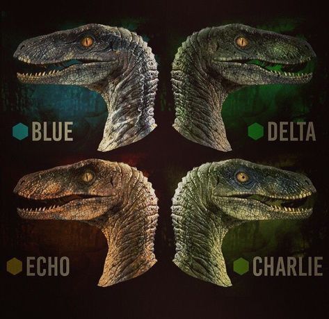 The Raptors (Blue, Delta, Echo and Charlie). Jurassic World Raptors, Jurassic World Wallpaper, Jurassic Movies, Jurassic Park Poster, Jurassic World 2015, Jurassic Park Logo, Jurrasic Park, Michael Crichton, Jurassic World Fallen Kingdom