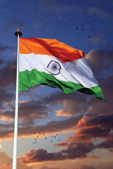 Kawaii, 15th August Independence Day, Indian Tricolor, Mahie Gill, H1b Visa, National Flag India, Indian Flag Pic, Kuldeep Yadav, Indian Flag Photos