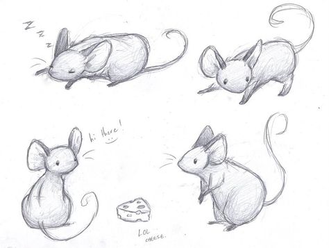 Drawing People, Soft Sculpture, Mouse Sketch, Mouse Illustration, Mouse Drawing, Cute Mouse, Animal Sketches, Cute Animal Drawings, Pictures To Draw