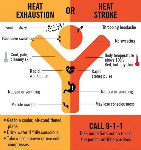 Emergency Medical Responder, Wilderness First Aid, Heat Exhaustion, Throbbing Headache, First Aid Tips, Emergency First Aid, Safety And First Aid, Neck Injury, Apocalypse Survival