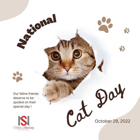 October 29, 2022 is National Cat Day! Our feline friends deserve to be spoiled on their special day! #catlovers #kittycat #petcare #furmoms #furdads #furparents #stressreliever Pet Care, Cheshire Cat, National Cat Day, Cartoon Cats, Cat Holidays, October 29, Cat Day, Cat Memes, Special Day