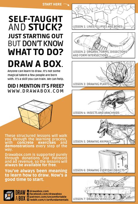 Pop Surrealism, Fundamentals Of Drawing, Draw A Box, Anatomy Tutorial, Keep Growing, Drawing Exercises, Foundational Skills, Plant Drawing, Learn Art