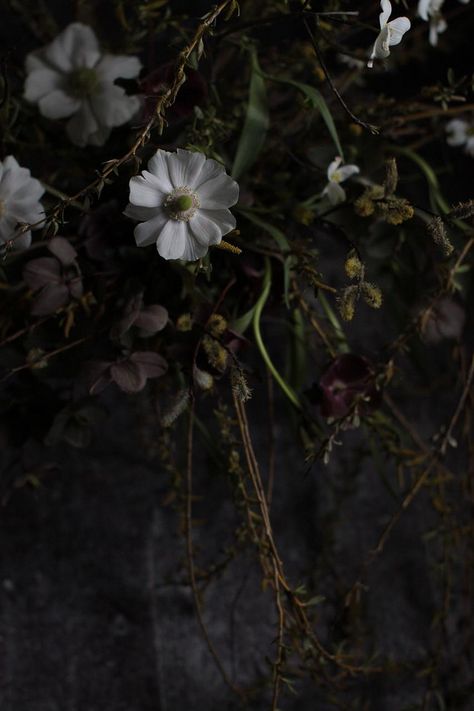 Dark Gardening Aesthetic, Dark Flower Garden Aesthetic, Dark Garden Aesthetic Night, Dark Plant Aesthetic, Dark Garden Aesthetic, Dark Spring Aesthetic, Dark Flower Aesthetic, Dark Fairytale Aesthetic, Dark Cottagecore Aesthetic