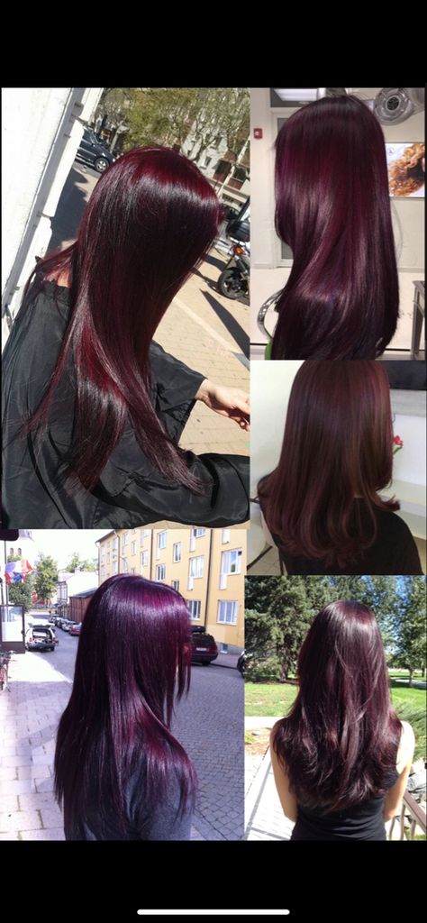 Dark Red And Dark Purple Hair, Red Purplish Hair, Cherry Red And Purple Hair, Red Hair Purple Undertone, Dark Vampire Red Hair, Blackberry Red Hair, Plum Purple Outfit Ideas, Dark Redish Purpleish Hair, Dark Purple Maroon Hair