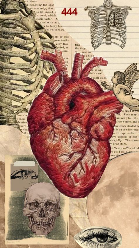 #moodboard #vintage #collage #aesthetic #red #hearts #heart #anatomy Anatomical Heart Art, Medical Drawings, Medical Wallpaper, Eyes Wallpaper, Iphone Wallpaper Sky, Art Journal Therapy, Mood Wallpaper, Medical Art, Hippie Wallpaper