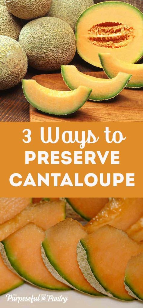 Here are three ways to preserve cantaloupe or muskmelon to add to your long-term food storage. Create tasty snacks your family will love, and keep that melony goodness all year long. Can You Freeze Cantaloupe, How To Store Cantaloupe, Cantaloupe Canning Recipes, Cantaloupe Fruit Leather Recipe, How To Preserve Cantaloupe, Canning Melon Recipes, Canning Cantaloupe Recipes, Canned Cantaloupe, How To Preserve Watermelon