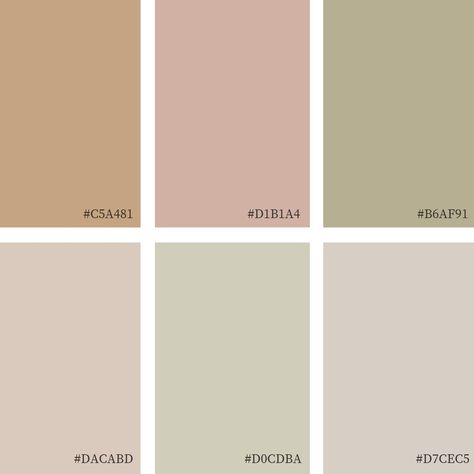 Blush Beige Color Palette, Beige Tones Colour Palettes, Dusky Pink Colour Palette, Feminine Color Palette Colour Schemes, Biege Colour Pallete, Dusty Pink Colour Palette, Pink And Beige Color Palette, Rose Colour Palette, Blush Colour Palette