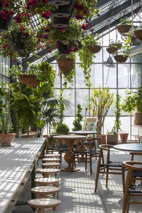 Restaurant Visit: Roy Choi's Commissary, Inside a Greenhouse in LA California Christmas, Boho Patio, Greenhouse Plants, Plants Nature, Gardening Flowers, Garden Cafe, Garden Greenhouse, Greenhouse Gardening, Nature Garden