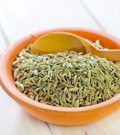 10 Serious Side Effects Of Fennel Seeds Benefits Of Fennel, Nutrition Inspiration, Fennel Essential Oil, Curry Pasta, Fennel Tea, Fennel Seed, Roasted Fennel, Types Of Herbs, Reduce Appetite
