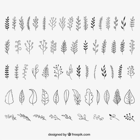 Sketchy leaves Premium Vector | Premium Vector #Freepik #vector #hand-drawn-leaf #leaves-sketch #leaves-drawing #plant-sketch Fiori Art Deco, Draw Plants, Plants Tattoo, Drawing Plants, Pola Tato, Leaves Doodle, Plant Doodle, Arte Doodle, Plants Leaves