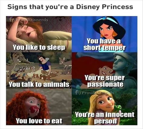 Disney Princess Jokes, Cinderella Funny, Funny Disney Princess, Disney Princess Memes, Disney Princess Funny, Image Princesse Disney, Disney Theory, Princess Quotes, Disney Princess Quotes