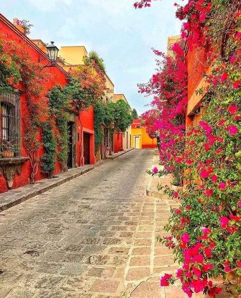 Cuernavaca, Mexico City Buildings, Mexican Street Aesthetic, Mexico Street Photography, Mexican Architecture Traditional, Mexico Countryside, Mexico Buildings, Mexican Buildings, Mexico Streets