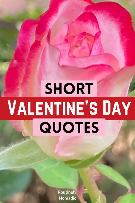 Did you just have the most amazing time on Valentine’s Day and are now looking for the best short Valentine’s Day quotes for inspiration and Instagram? Here are the best cute, funny, inspirational quotes about love and short romantic Valentine’s Day quotes for him (boyfriend or husband) or her (girlfriend or wife). Find the best one that fits your experience, picture or just inspires you! Valentine’s Day Quotes For Wife, Valentine's Quote For Husband, Valentine Love Quotes For Him, Quotes For Valentines Day For Him, Husband Valentine Card Handmade, Love Quotes For Him Valentines Day, Sayings For Valentine Cards, Valentine’s Day Love Quotes, Valentines Poems For Her