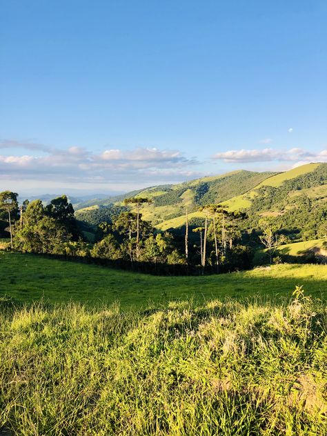 #brasil    #latinamerica  #nature   #travelphotography  #naturelovers  #travelblogger  #naturephotography   #reisen  #brezilya  #travel #brazil #green #vegan #brasilien Travel, Nature, Brazil, Brazil Countryside, Travel Brazil, Countryside Landscape, Eco Design, Prefab Homes, Plein Air