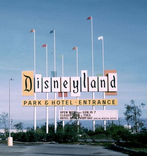 Disneyland Sign, Retro Disneyland, Disneyland Entrance, Disney Themed Rooms, Disneysea Tokyo, Disneyland Anaheim, Retro Disney, Hotel Entrance, Disney Rooms