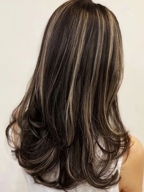 Black Hair With Highlights: 20+ Trendiest Looks and Ideas Skunk Hair, Hair With Highlights, Brown Hair Inspo, Brunette Hair With Highlights, Hair Color Streaks, Black Hair With Highlights, Hairstyles For Layered Hair, Hair Streaks, Dark Hair With Highlights