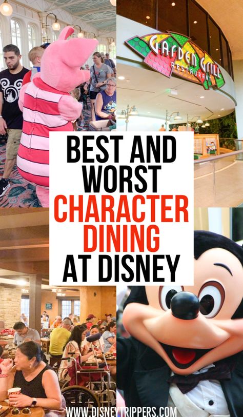 Disney Worlds, Character Meals At Disney World, Character Dining At Disney World, Disney World Character Dining, Disney Character Meals, Best Disney World Food, Disney Character Dining, Dining At Disney World, Best Disney World Restaurants
