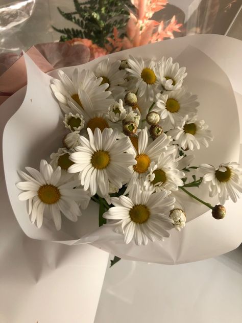 Daisy Bouquet Aesthetic, White Daisy Bouquet, Whisper Love, Luxury Flower Bouquets, Daisy Bouquet, Boquette Flowers, Nothing But Flowers, Flower Therapy, Beautiful Bouquet Of Flowers