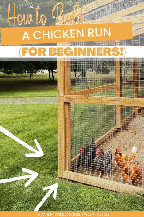 Chicken run DIY. how to build your own chicken run to keep your chickens safe and secure. Keeping your chickens safe is a priority no matter where you live. Besides a safe chicken coop you also need a sturdy chicken run that will not only keep your chickens safe inside but keep chicken predators out as well. DIY chicken coop. Simple Chicken Run Plans, Chicken Coops And Runs Diy, Chicken Run Plans Diy, How To Chicken Coop, Outside Chicken Run, Diy Walk In Chicken Run, Big Chicken Run, Safe Chicken Coop Ideas, Build Chicken Run