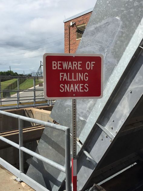 Texas, Home Of The World's Scariest Sign Funny Pictures, Funny Signs, Humour, Tumblr, Scary Photos, Public Service Announcement, Having A Bad Day, Bad Day, Warning Signs