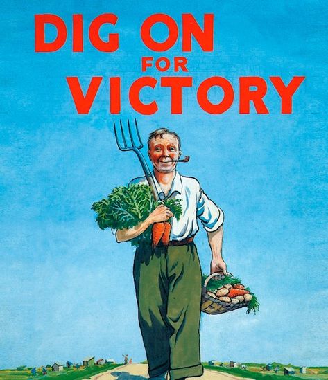 The History Press | The Road to Rationing: Preparing to feed Britain in World War II Dig For Victory, Ww2 Posters, Propaganda Poster, Garden Illustration, Food Production, 80 Years Old, Campaign Posters, Make Do And Mend, Awareness Campaign