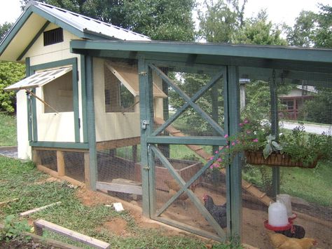 Chicken Coop Ideas With Run, Chicken Coop On A Slope, Green Roof Chicken Coop, Chicken Coop Sloped Yard, Chicken Run On A Hill, Chicken Coop On Hill, Slant Roof Chicken Coop, Chicken Coop On A Hill, Free Range Chickens Coop