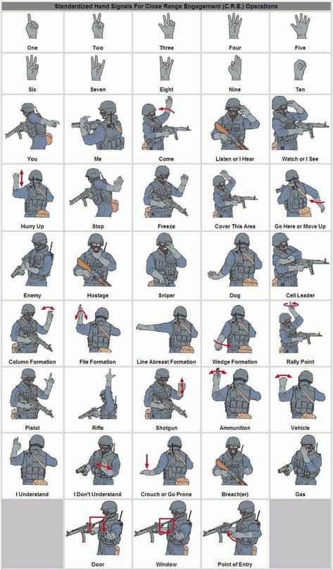 A visual guide to military hand signals Nato Alphabet, Wojskowy Humor, Trening Sztuk Walki, Military Tactics, Military Wallpaper, Survival Skills Life Hacks, Hand Signals, Military Gear Tactical, Tactical Gear Loadout