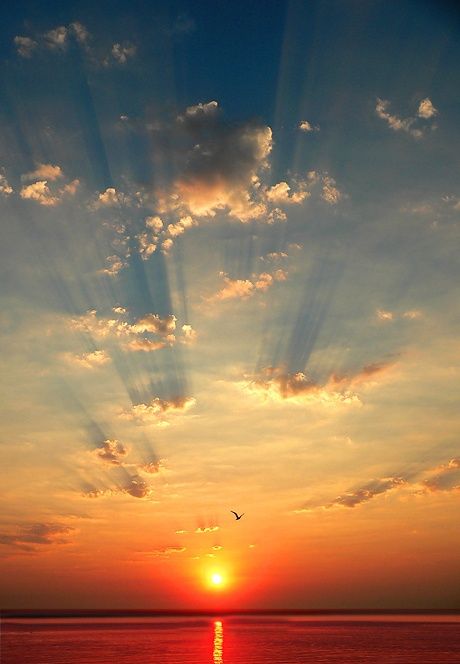 Crepuscular Rays - One of our Favorite Pinterest Boards - Dan 330 Amazing Nature, Wow Photo, Foto Logo, 그림 낙서, Beautiful Sunrise, Beautiful Sky, Beautiful Sunset, Beautiful Photography, Belle Photo