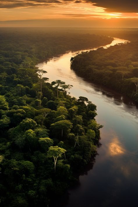 The Amazon River, boasting the planet's highest discharge and ranking among the world's longest rivers, meanders across South America for roughly 4,000 miles. Its source lies within the Andes Mountains, and it eventually converges with the Atlantic Ocean. Encompassing a colossal basin spanning nine countries, this remarkable region houses an incredible array of plant and animal species, with a significant portion of them being exclusive to this unique ecosystem. Nature, Amazon River Aesthetic, Ancient South America, South America Landscape, The Amazon River, South American Jungle, Amazonian Aesthetic, Ecosystem Aesthetic, Amazon Rainforest Aesthetic