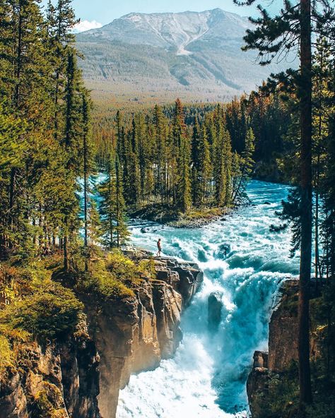 Best Things to do in Jasper National Park - Jasper National park hiking and Jasper National park camping guide for the ultimate Jasper National Park road trip through Alberta Canada. Don't miss Sunwapta Falls hike! One of our top favorite best hikes in Jasper National Park. See this unique waterfall that flows around an island. Sunwapta Falls Alberta Canada, Sunwapta Falls, Hiking Vacations, Canada Hiking, Jasper National Park Canada, Alberta Canada Travel, Jasper Alberta, Alberta Travel, West Coast Trail