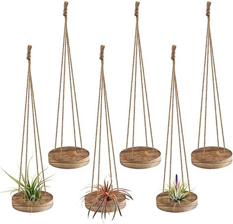 Amazon.com: 6 Pcs Hanging Wooden Air Plant Holder - 3" Round Wooden Air Plant Hanger with Jute Ropes, Rustic Air Plant Stand Tillandsia Succulent Display Container for Home Office Decor Housewarming Gift : Patio, Lawn & Garden Air Fern, Air Plant Holders, Air Plant Hanger, Succulent Display, Hanging Air Plants, Support Pour Plante, Burnt Wood, Support Plante, Hanging Plant Holder