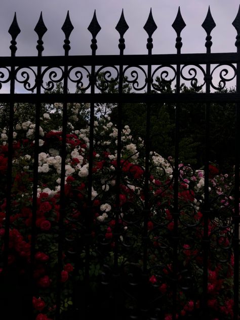 Garden Aesthetic Dark Academia, A Ruin Of Roses Aesthetic, Flower Goth Aesthetic, Dark Garden Aesthetic Wallpaper, Garden Of Roses Aesthetic, Goth Flowers Aesthetic, Thorny Rose Aesthetic, Secrets Aesthetic Dark, Vampire Garden Aesthetic