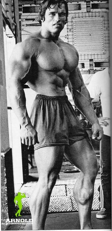 Check out Golden Age Muscle Movies - http://goldenagemusclemovies.com/ Arnold Bodybuilding, Arnold Schwarzenegger Movies, Arnold Schwarzenegger Bodybuilding, Best Bodybuilder, Schwarzenegger Bodybuilding, Big Arms, Calf Exercises, Bodybuilding Pictures, Gym Guys