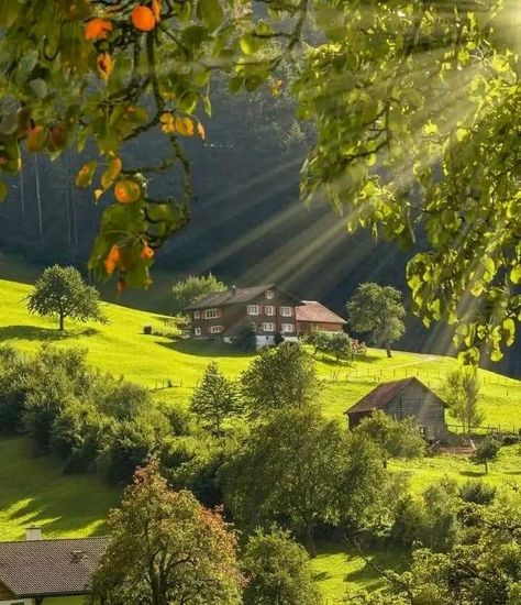 Switzerland aesthetic Tirol, Switzerland, Switzerland Travel Guide, Morning View, Switzerland Travel, Heaven On Earth, Vacation Trips, Beautiful Landscapes, Beautiful Nature