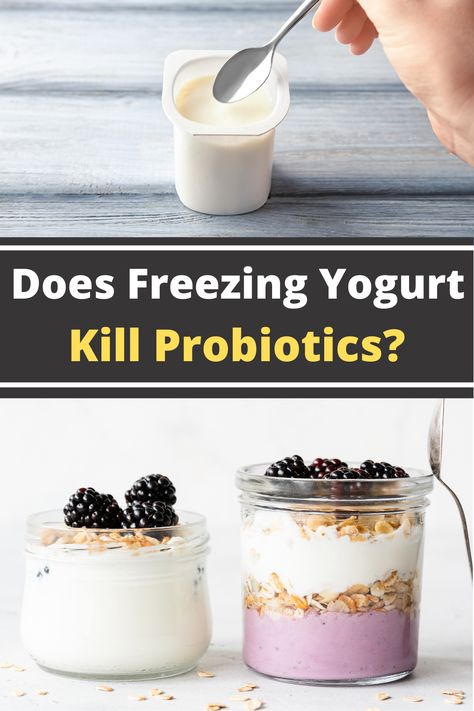 What happens when you take advantage of that yogurt sale and end up with more yogurt than you can eat? Typically we throw things in the freezer to enjoy them later but does freezing yogurt kill the healthy probiotics? So can you freeze yogurt or will that kill the probiotics? Freezing yogurt will not kill the probiotics. The probiotics will enter a dormant state from the cold temperatures and will awaken when brought back to room temperature. Can You Freeze Yogurt, Can You Freeze Greek Yogurt, How To Freeze Yogurt, Freeze Yogurt, Freezing Yogurt, Activia Yogurt, Frozen Greek Yogurt, Probiotic Yogurt, Homemade Greek Yogurt