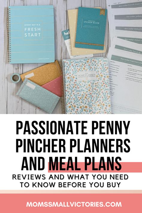 Passionate Penny Pincher Freezer Meals, Penny Pincher Meals, Passionate Penny Pincher Planner, Penny Pincher Planner, Passionate Penny Pincher Recipes, Passionate Penny Pincher, Budget Hacks, Budget Worksheet, Case Presentation