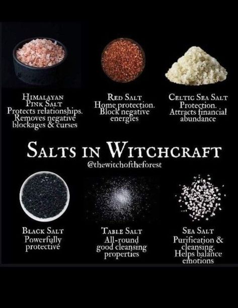 Clearvoyant Meaning, Herbs Witch, Protection Herbs, Witch Herbs, Witch Spirituality, Wiccan Magic, Magic Spell Book, Magic Herbs, Witchcraft For Beginners