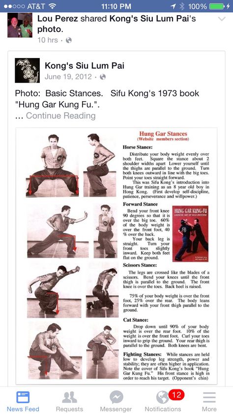 Hung Gar Kung Fu Stances. Kung Fu Stances, Hung Gar Kung Fu, Earth Bending, Karate Styles, Warrior Training, Boxing Classes, Martial Arts Boxing, Chi Kung, Lion Dance