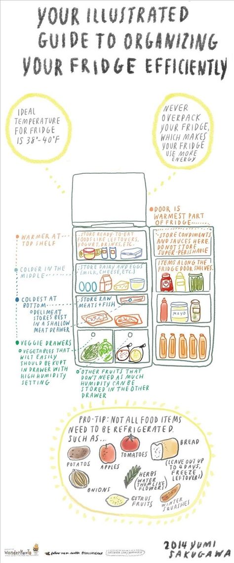 How to Organize Your Fridge More Efficiently for Longer Lasting Foods « The Secret Yumiverse Organisation, Zero Waste Pantry Organization, Where To Put Food In Fridge, Fridge Organization Layout, Refrigerator Zones, Fridge Zones, Kitchen Hacks Storage, Organize Fridge, Fridge Display