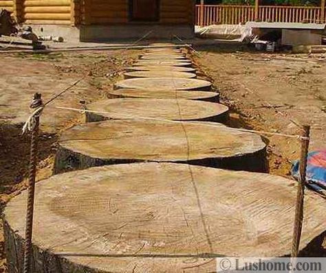 Wood Slices in Modern Yard Landscaping, Ideas for Garden Path Design Wooded Backyard Landscape, Garden Path Design, Modern Landscaping Ideas, Wood Pathway, Modern Yard, Diy Pathway, Wooden Pathway, Large Wood Slices, Diy Backyard Fence