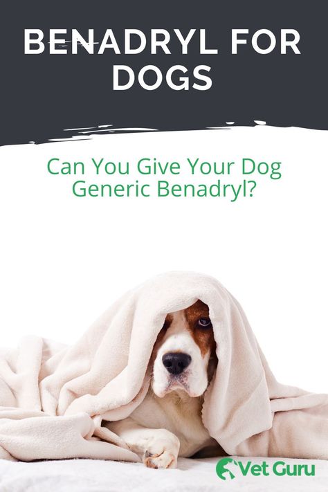 Over The Counter Meds For Dogs, Benadryl For Dogs, Dog Meds, Dog Benadryl, Meds For Dogs, Sick Puppies, Dog Medicine, Allergy Medicine, Dog Wellness