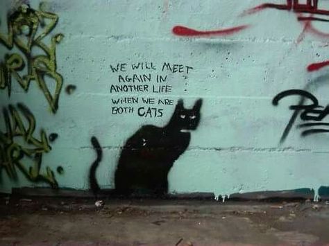 we will meet again in another life...... when we are both cats In A Another Life, Vanilla Sky Quotes, Cat Graffiti, Graffiti Spray Can, Cat In Love, We Will Meet Again, Cat Street, Street Art Love, Street Cats