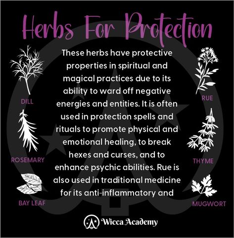 Herbs have been used for protection in various cultures and traditions for their natural properties believed to ward off negative energy or unwanted influencesOther herbs you can use for protection that are not listed on the image are Basil and lavenderAll of these herbs are commonly used for their protective and purifying qualitiesThese practices can be incorporated into spiritual or self-care routines for comfort and peace of mind and have been used for thousands of years Herbs Used For Protection, Herbs For Negative Energy, Herbs For Travel Protection, Protection Satchel Witchcraft, Herbs To Remove Negative Energy, Flowers For Protection, Herbs For Cleansing And Protection, Herbs For Protection Witchcraft, Protection Wards For Self