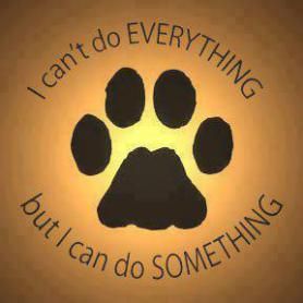 Image Shelter Dogs, Rescue Dog Quotes, Rescue Quotes, Volunteer Quotes, Game Mode, Stop Animal Cruelty, Animal Advocacy, Feral Cats, Save Animals