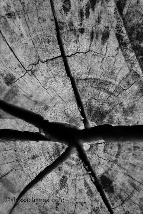 Dramatic black and white photo of interesting tree rings. This nature photography print would look stunning anywhere from the bathroom, kitchen, or laundry room to the guest room, nursery, or office! Perfect for someone that loves nature-inspired décor or wants an art piece to fit their modern, minimalist environment. Couture, Nature, Nature Dark Photography, Natural Forms Black And White, Fine Art Nature Photography, Black And White Texture Photography, Tree Photography Aesthetic, Nature Abstract Photography, Black And White Abstract Photography