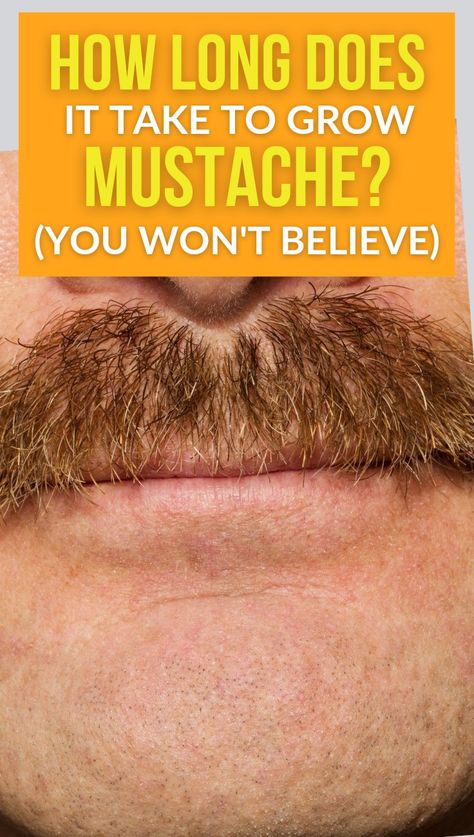 Grow mustache Mustache Growth Tips, Men’s Mustache Styles, How To Grow Moustache, How To Grow Mustache, Long Hair Mustache, Trim Mustache, Small Mustache, Thick Mustaches, Long Mustache