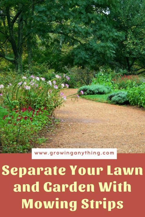 Mow Strip Ideas, Cheap Paving Stones, Mowing Strip, Landscape Borders, Lawn Edging, Landscape Edging, Garden Edging, Paving Stones, Garden Borders