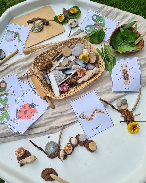 Nature Based Classroom, Kids Nature Activities, Art Provocations, Nature Crafts Kids, Spring Preschool Activities, Nature Based Learning, Insects Preschool, Bugs Preschool, Insect Activities