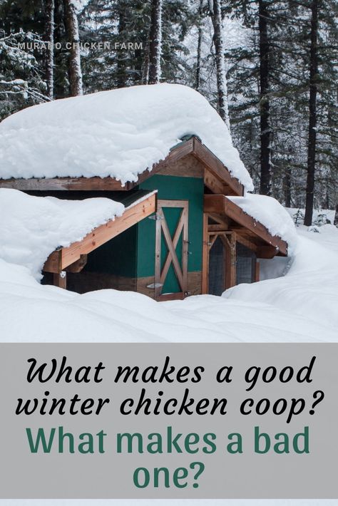 What makes a good winter chicken coop? How to pick a chicken coop for cold climates. Comparing ventilation, space and light to determine which coop your chickens will be comfortable in when it starts to snow!  #chickens #homesteading #backyardchickens Chicken Coop For Two Chickens, Chicken Coop For Winter Cold Weather, Diy Chicken Coop For Winter, Chicken Coop Ventilation Winter, Chicken Coops For Winter, Canadian Chicken Coop, Diy Chicken Coop Winter, Diy Winter Chicken Coop, Alaska Chicken Coop